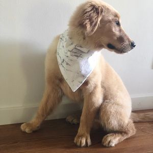Marble Dog Bandana
